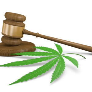 New Hampshire Decriminalizes Marijuana, Prevention Efforts Supported
