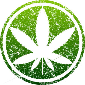 New Hampshire House Discusses Amendments to Marijuana Legalization Bill
