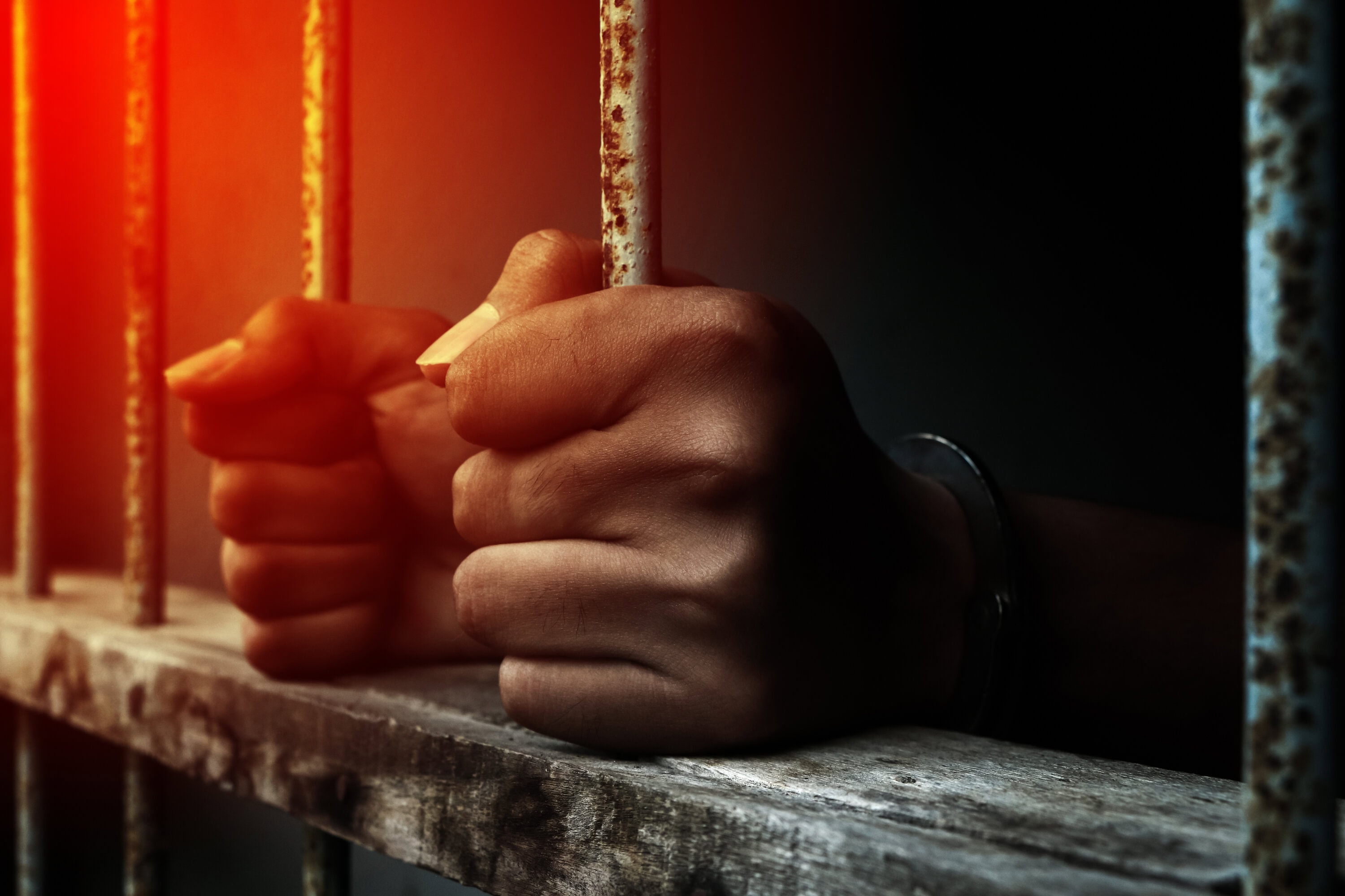 Prison Imprisonment Rabbit Dominican Man Sentenced to Prison for Trying to Bribe ICE Officer in NH ...