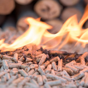 Will Sununu’s New Energy Plan Finally Burn Up Biomass Subsidies?