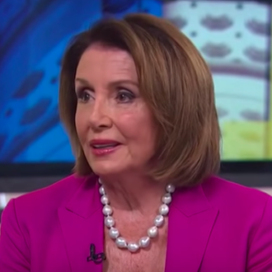 Pelosi Tells Democrats Running for House: “Do What You Have To” Now, I’ll Ask for Your Vote Later