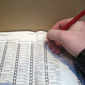 MUIRHEAD: The Single-Ballot Primary: The Freedom To Vote for Any Candidate