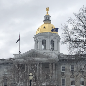 The Five NH Senate Seats That Will Decide the Size of GOP Majority