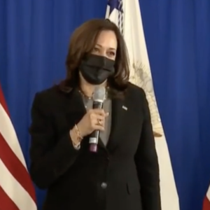 ANALYSIS: Harris Visit Reminds New Hampshire Democrats Why She Was So Easy To Forget