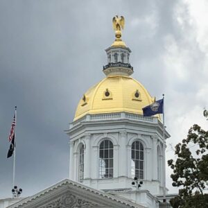 ANALYSIS: Leaderless NH Dems Turn On Each Other as GOP Rolls On