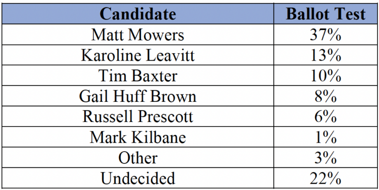 Another Poll Gives Mowers 'Commanding Lead' in NH-01 GOP Primary - NH ...