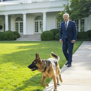 A Quiz for Presidents Day: Presidential Pets
