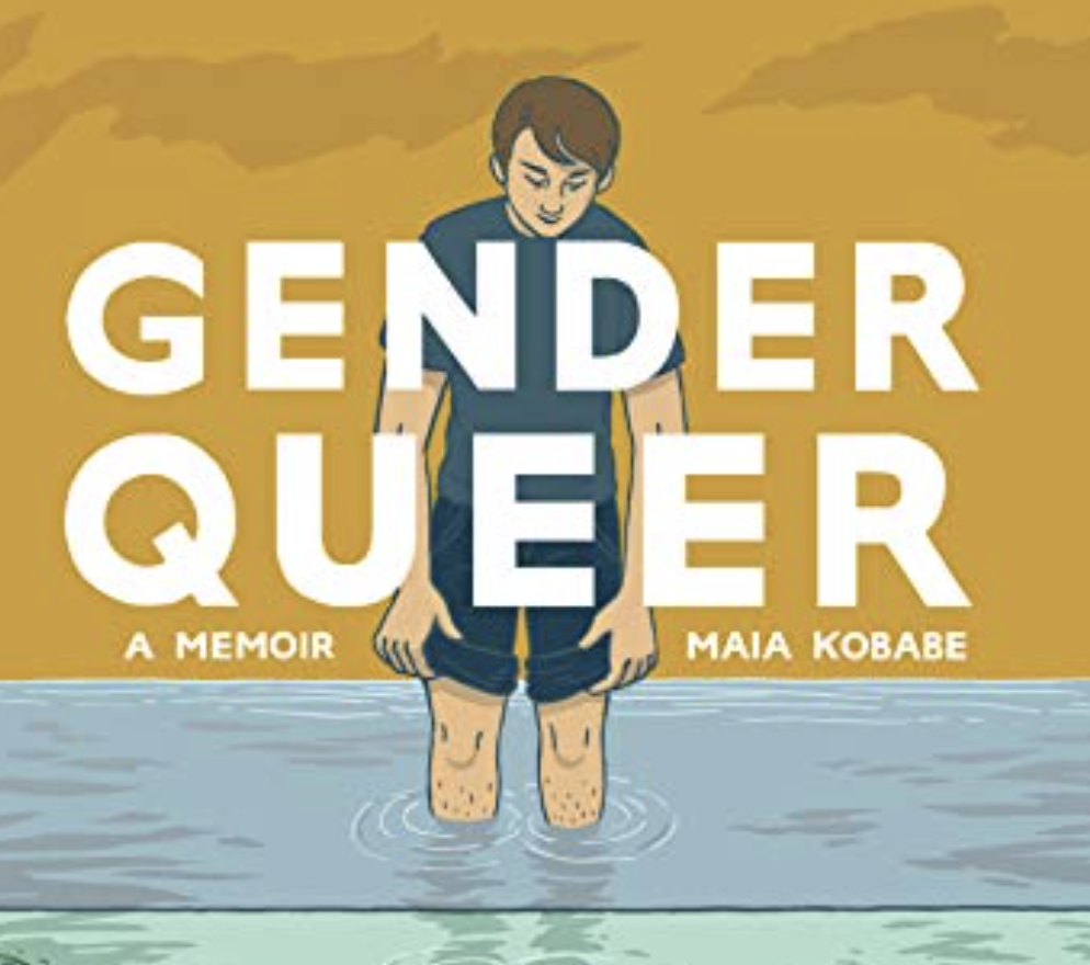 Gender queer a Memoir Maia Kobabe. Гендер queer. Гендерный квир книга. Gander queer Memoir. Genderqueer book