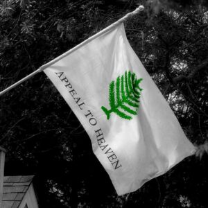 Nashua Says No to Displaying Historic N.H. Pine Tree Flag