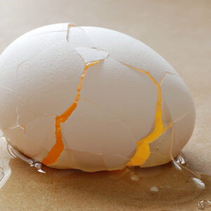 The Scrambled Economics of Goodlander’s Attack on ‘Big Egg’