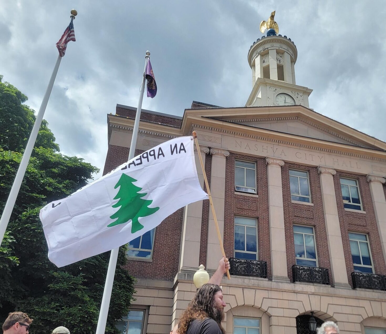 NH Judge Sides With Nashua on Banning Pine Tree Flag - NH Journal