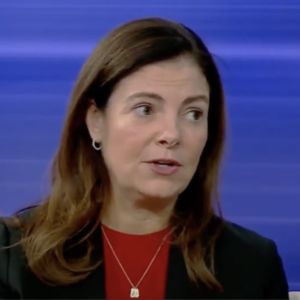 ‘Timing Is Off:’ Ayotte Dashes NHGOP Hopes for New CD Maps