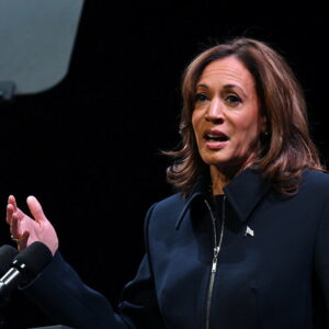 BOWLER: The Fruits of Democrats’ Soul Searching – There Are None