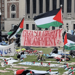 Point: Trump to Universities: Olive Branch Compact or Prosecution and Defunding