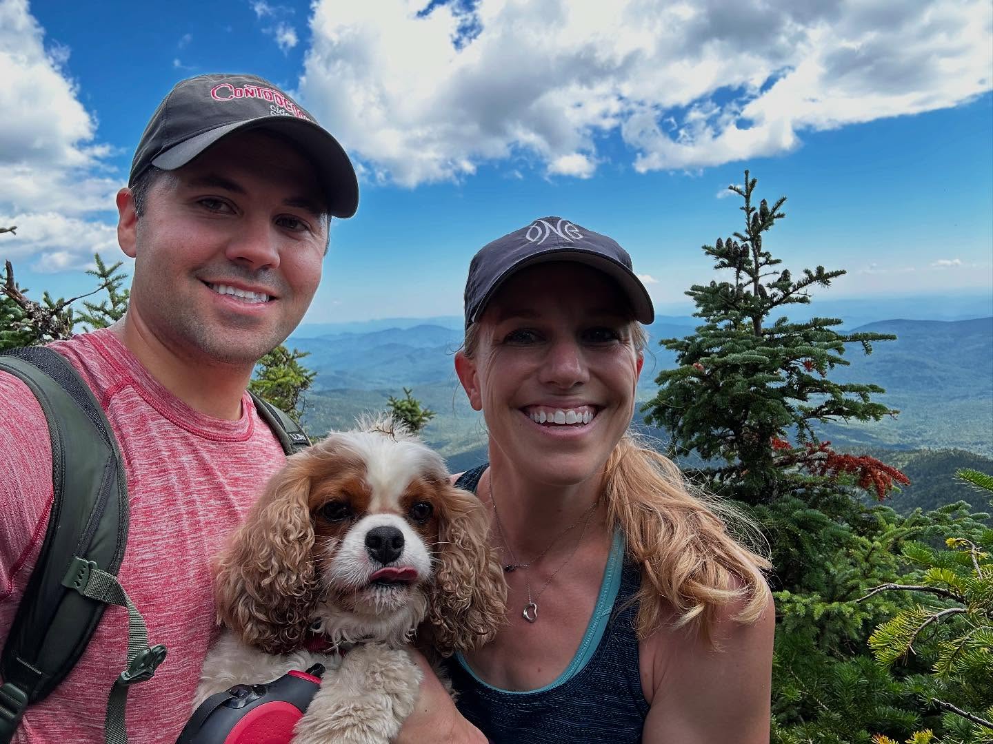 Williams Says Hip Problems, Not Voting History, Sidelined Her Gubernatorial Hopes